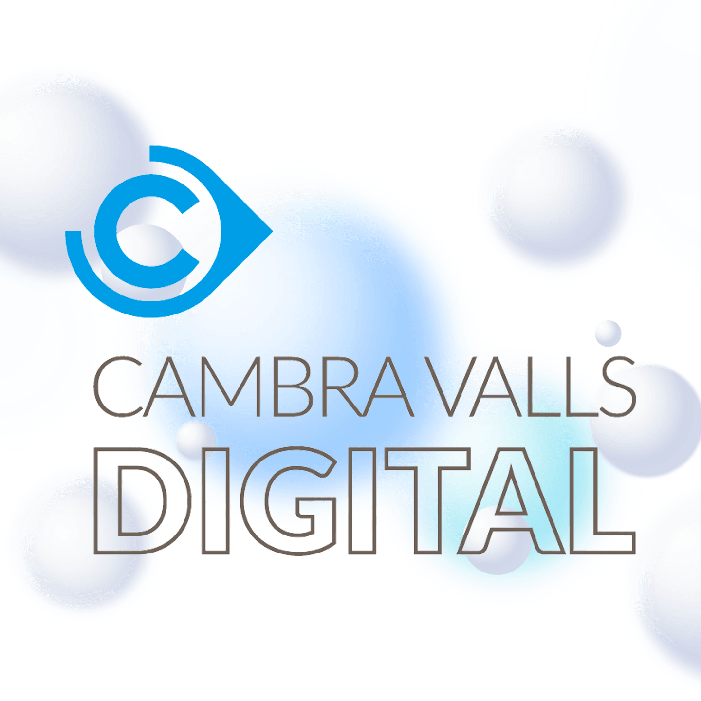 Cambra Valls Digital